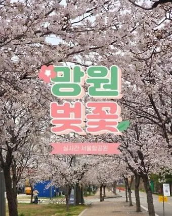 New 2r1b Lean&co House Mangwon Station Hongdae Hapjeong Appartement *
